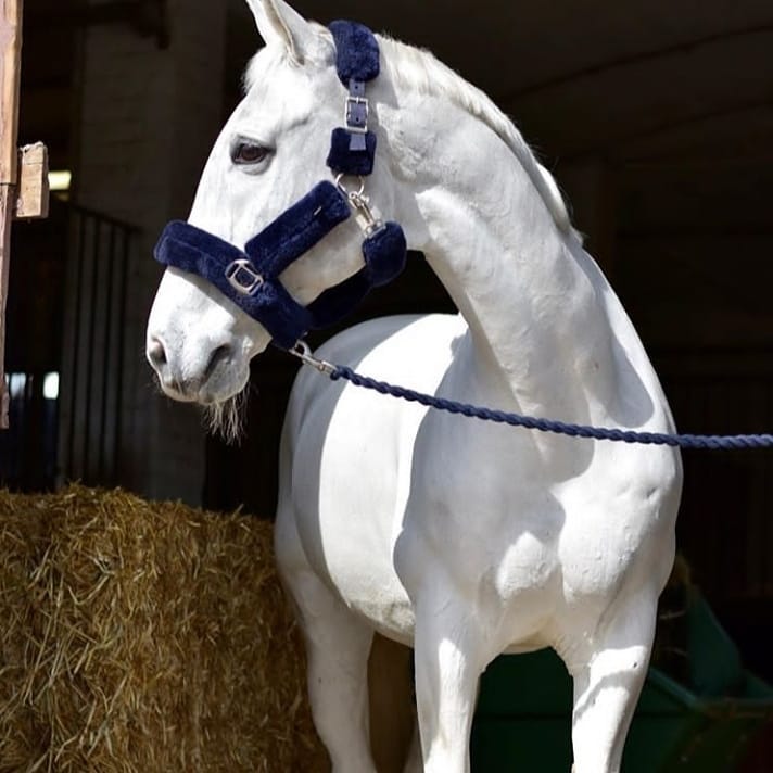 Furry Halters; Horses and Ponies, Matching Lead Rope