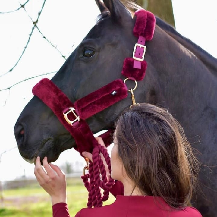 Furry Halters; Horses and Ponies, Matching Lead Rope