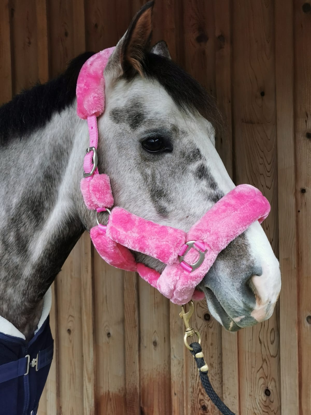 Furry Halters; Horses and Ponies, Matching Lead Rope