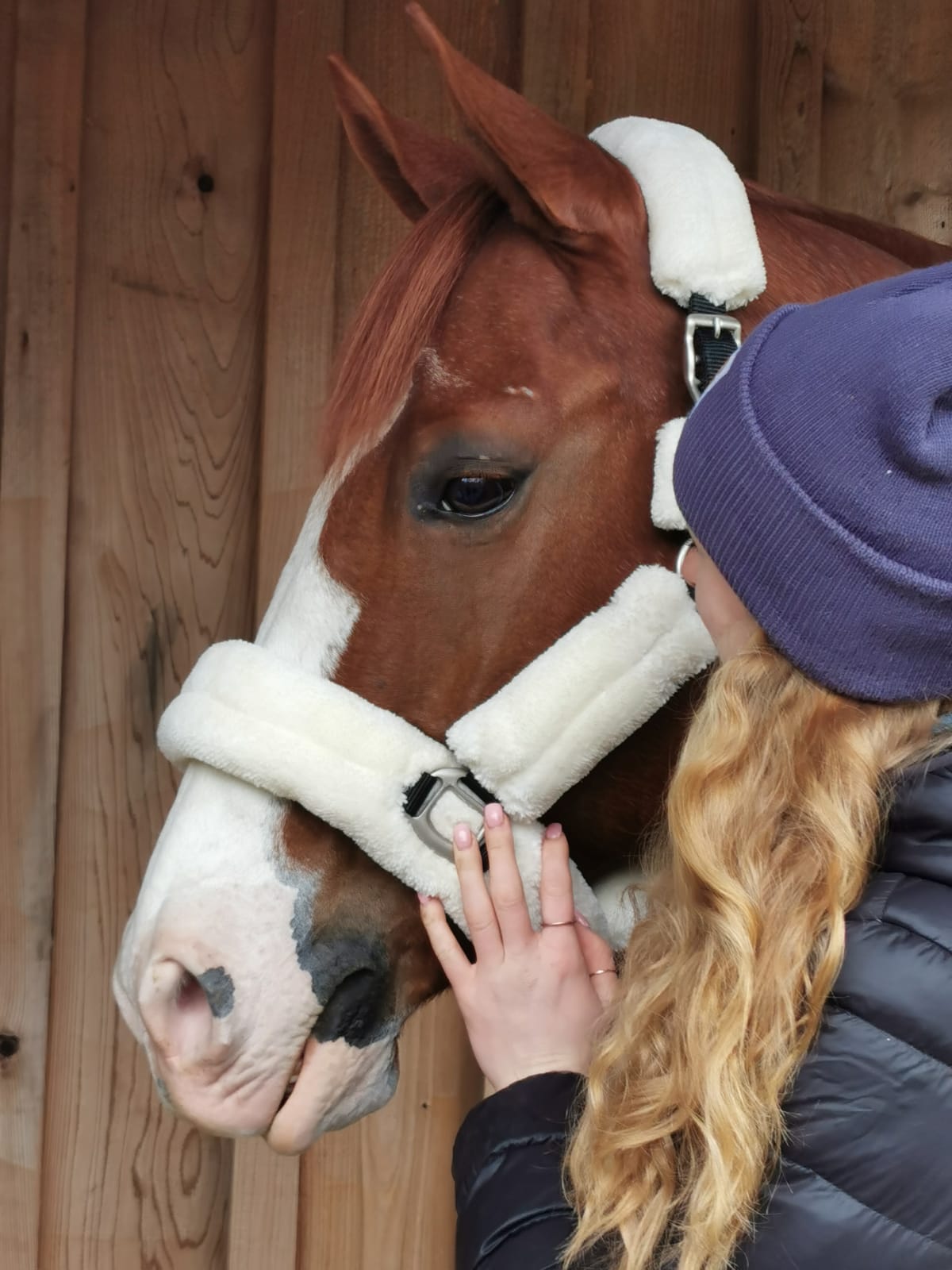 Furry Halters; Horses and Ponies, Matching Lead Rope