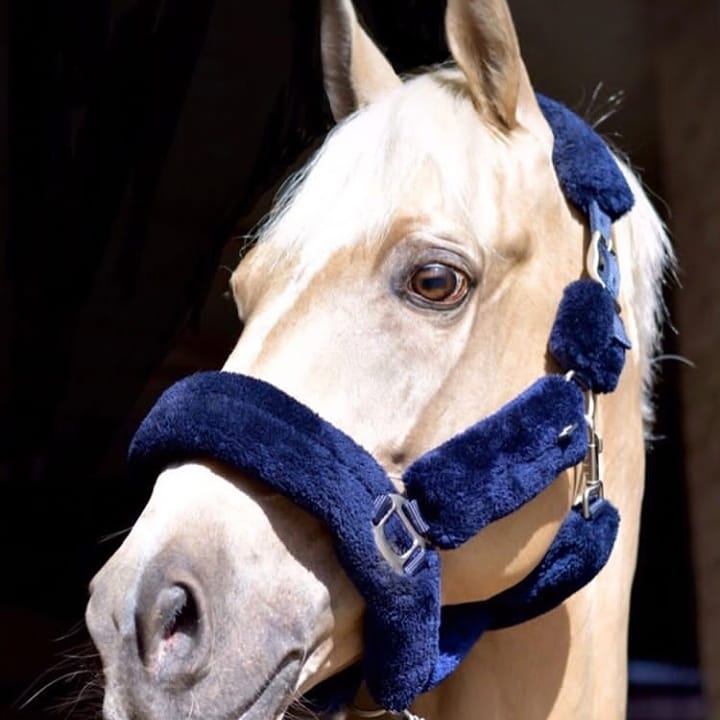 Furry Halters; Horses and Ponies, Matching Lead Rope