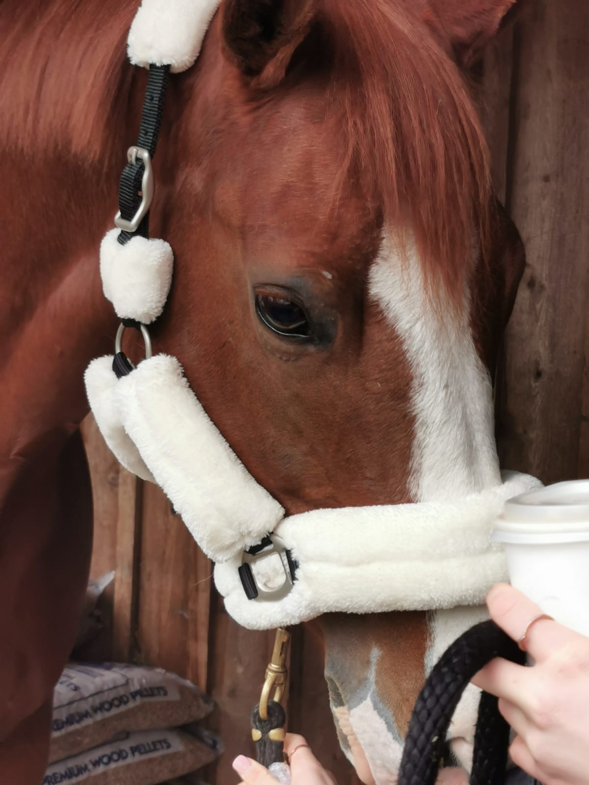 Furry Halters; Horses and Ponies, Matching Lead Rope