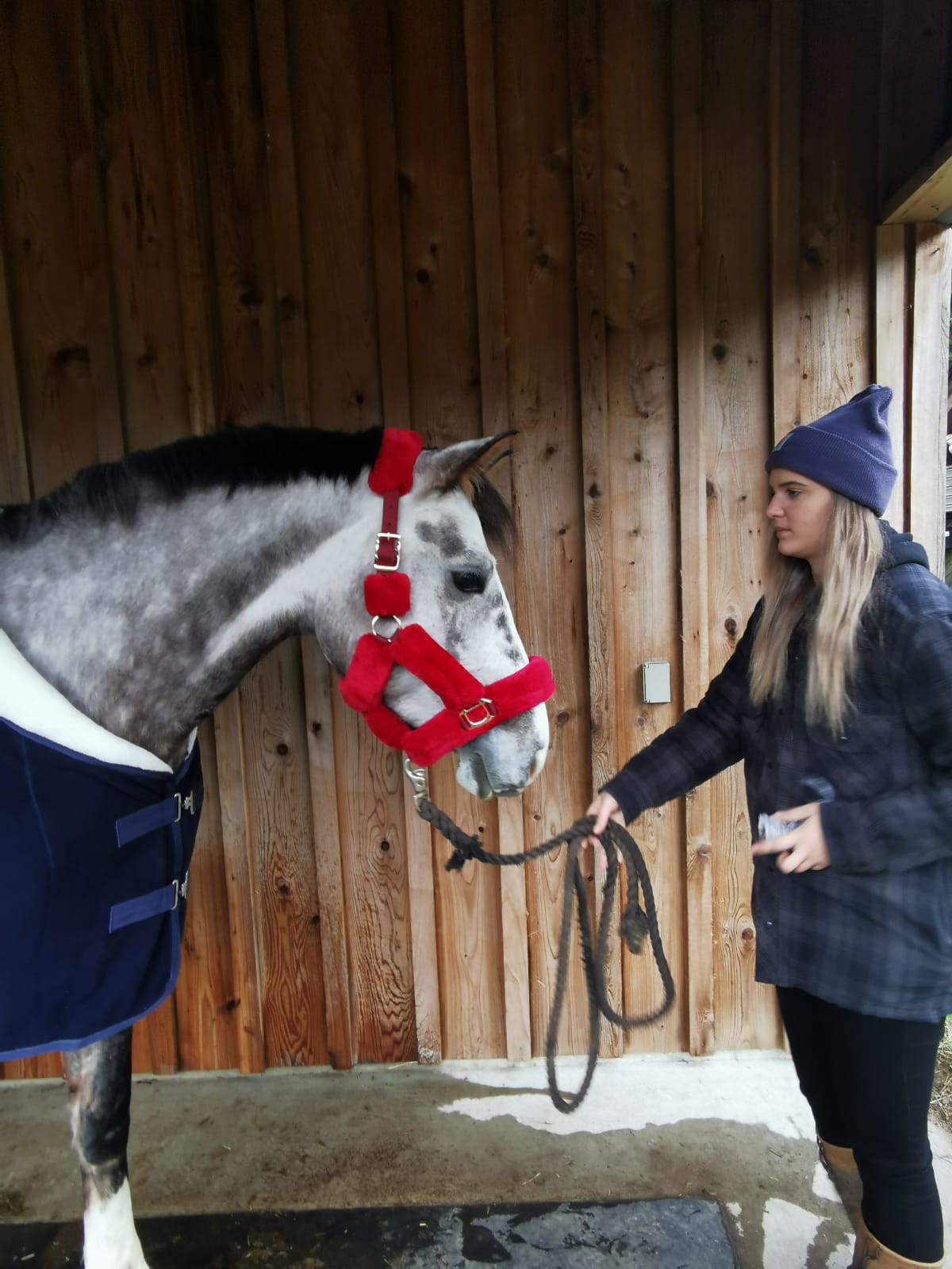 Furry Halters; Horses and Ponies, Matching Lead Rope